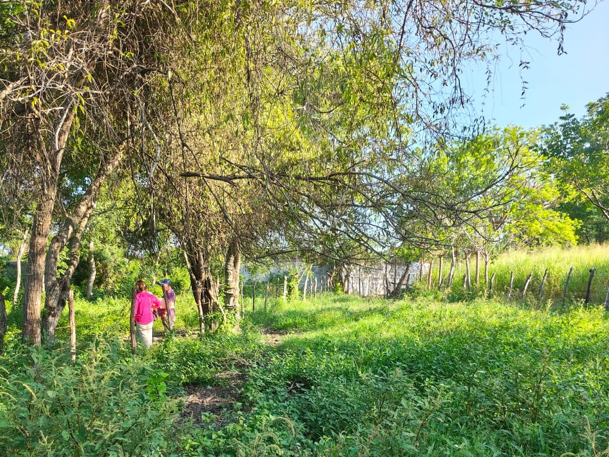 Terreno en venta en Carrizal, Emiliano Zapata, foto 1 de 8
