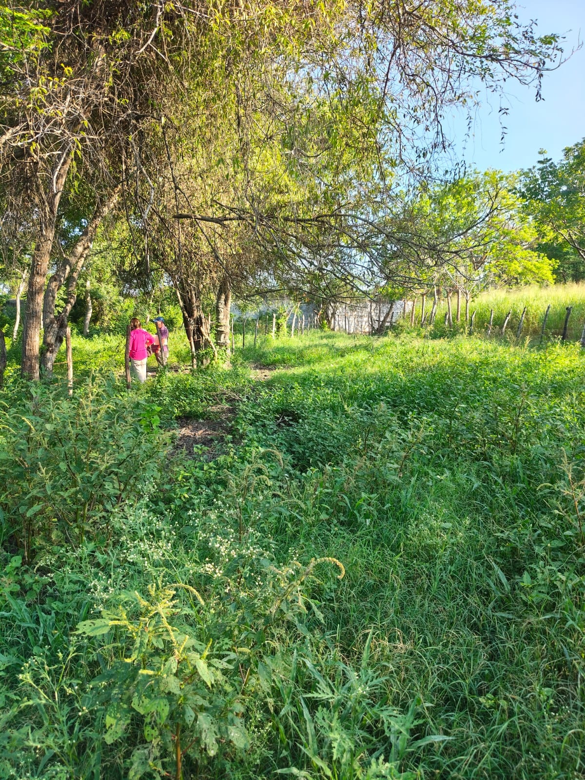 Terreno en venta en Carrizal, Emiliano Zapata, foto 1 de 8