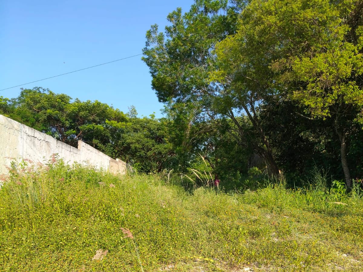 Terreno en venta en Carrizal, Emiliano Zapata, foto 3 de 8