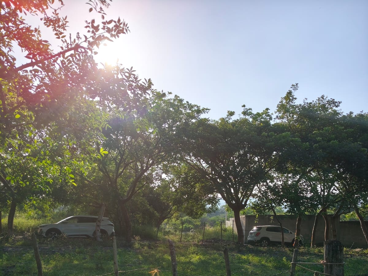 Terreno en venta en Carrizal, Emiliano Zapata, foto 4 de 8