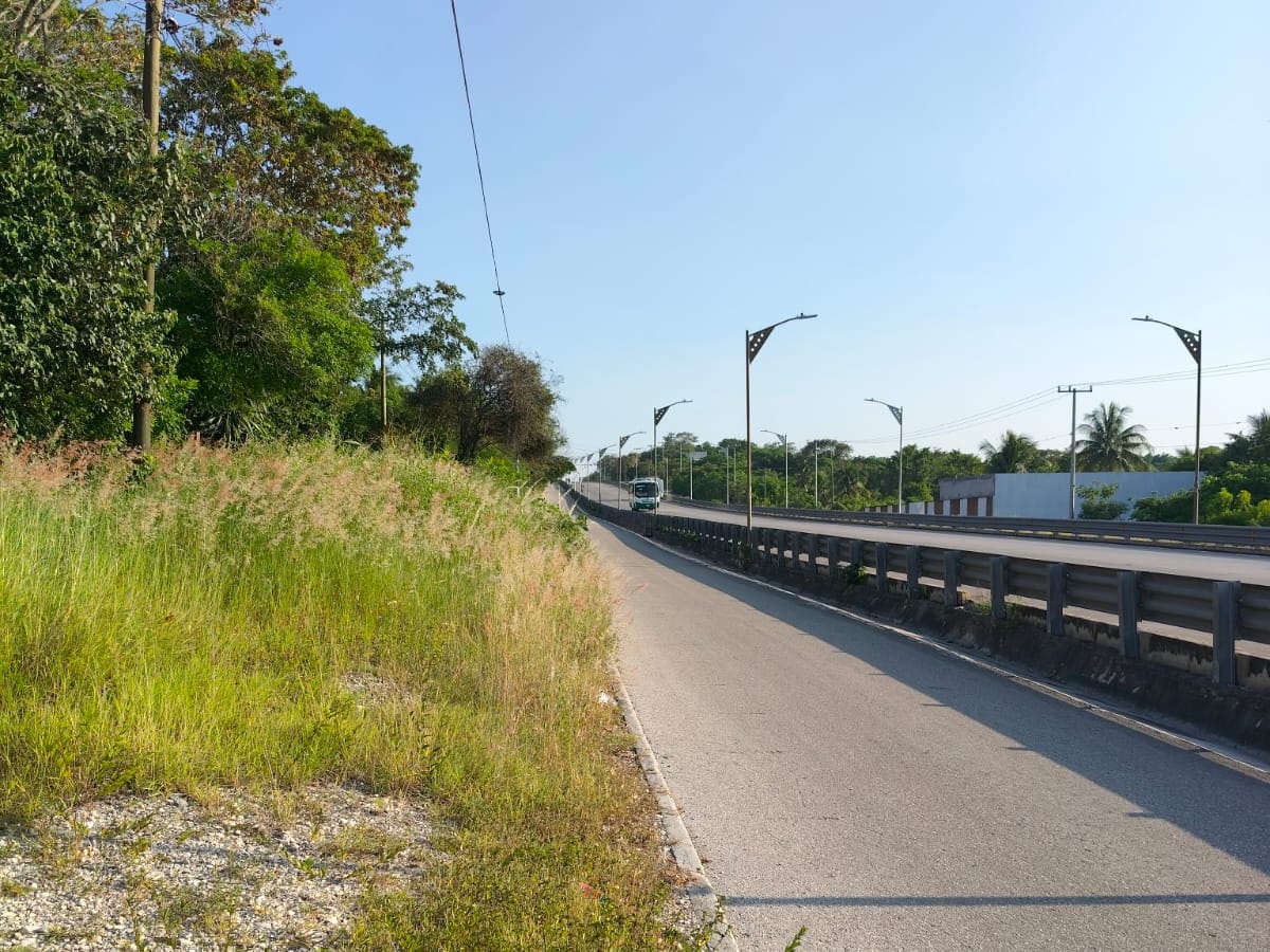 Terreno en venta en Carrizal, Emiliano Zapata, foto 2 de 8