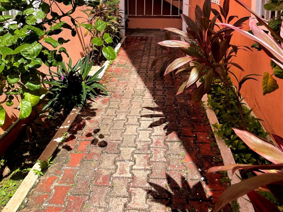 Departamento en renta en Cancún Centro, Benito Juárez, foto 2 de 8
