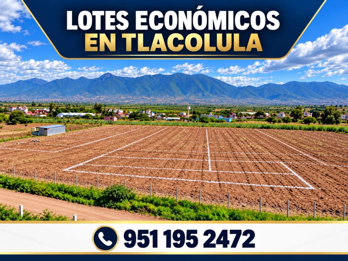 Terreno en venta en El Pipe, Tlacolula de Matamoros, foto 1 de 1