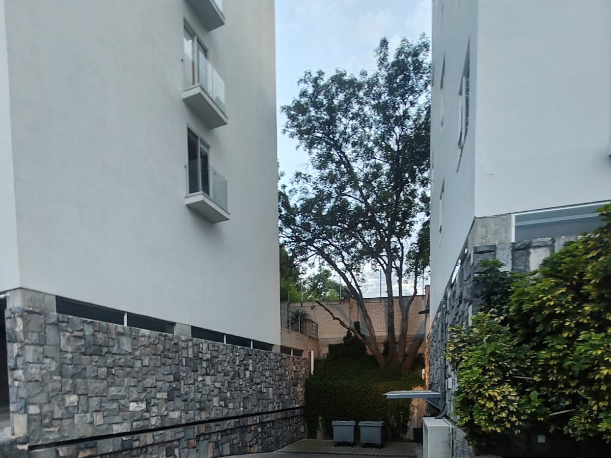 Departamento en renta en Puebla, foto 10 de 25