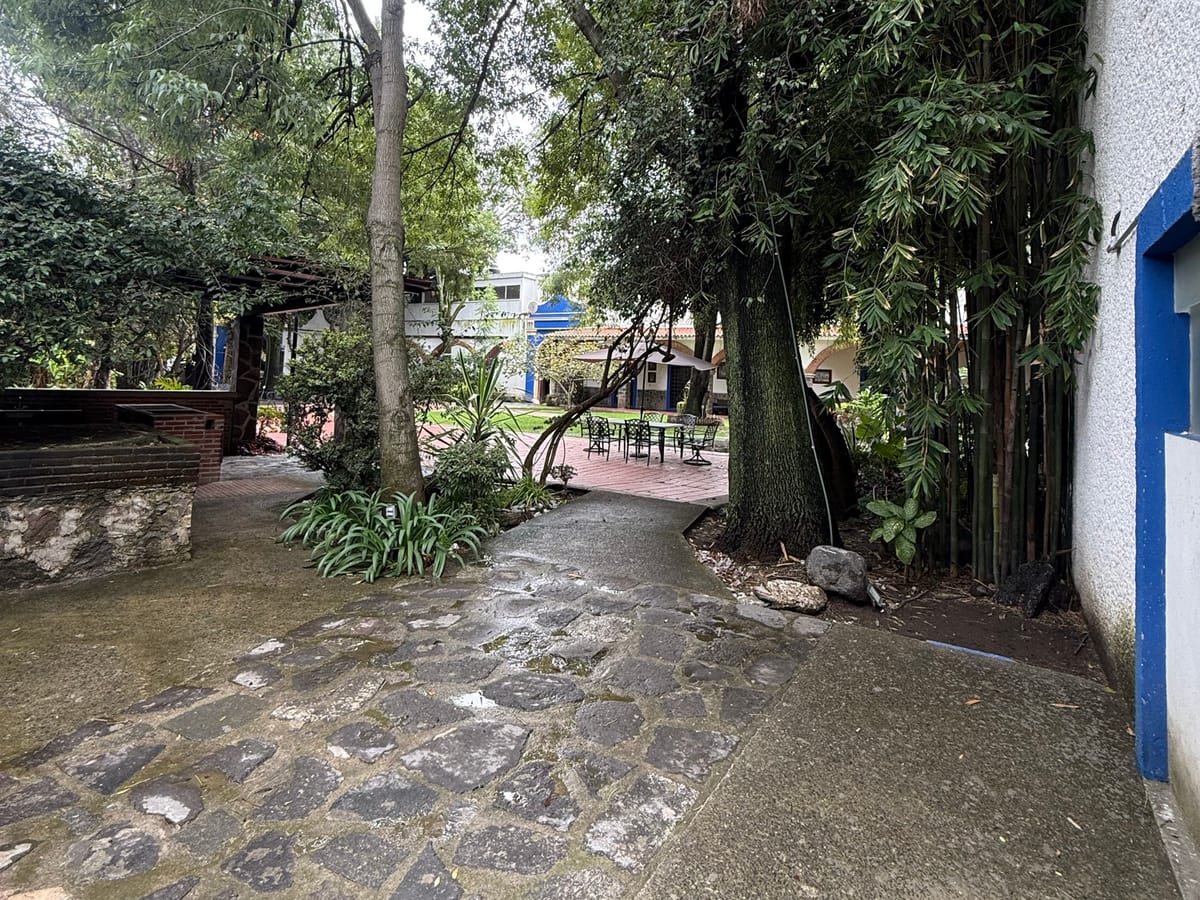 Rancho o finca en renta en Molino de Santo Domingo, Puebla, foto 11 de 20