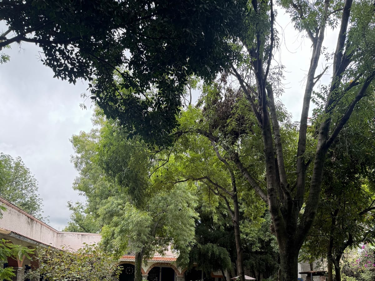 Rancho o finca en renta en Molino de Santo Domingo, Puebla, foto 6 de 20
