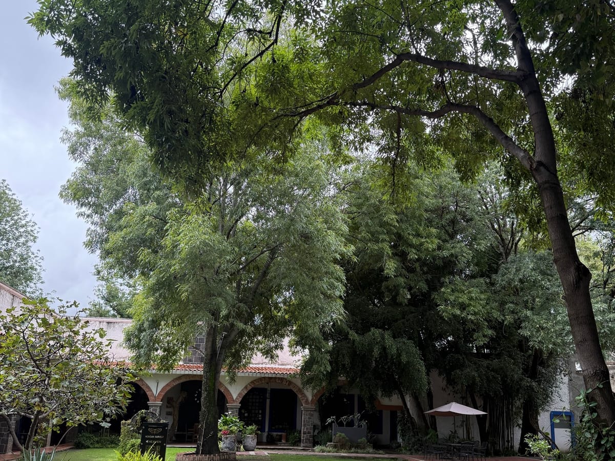 Rancho o finca en renta en Molino de Santo Domingo, Puebla, foto 5 de 20