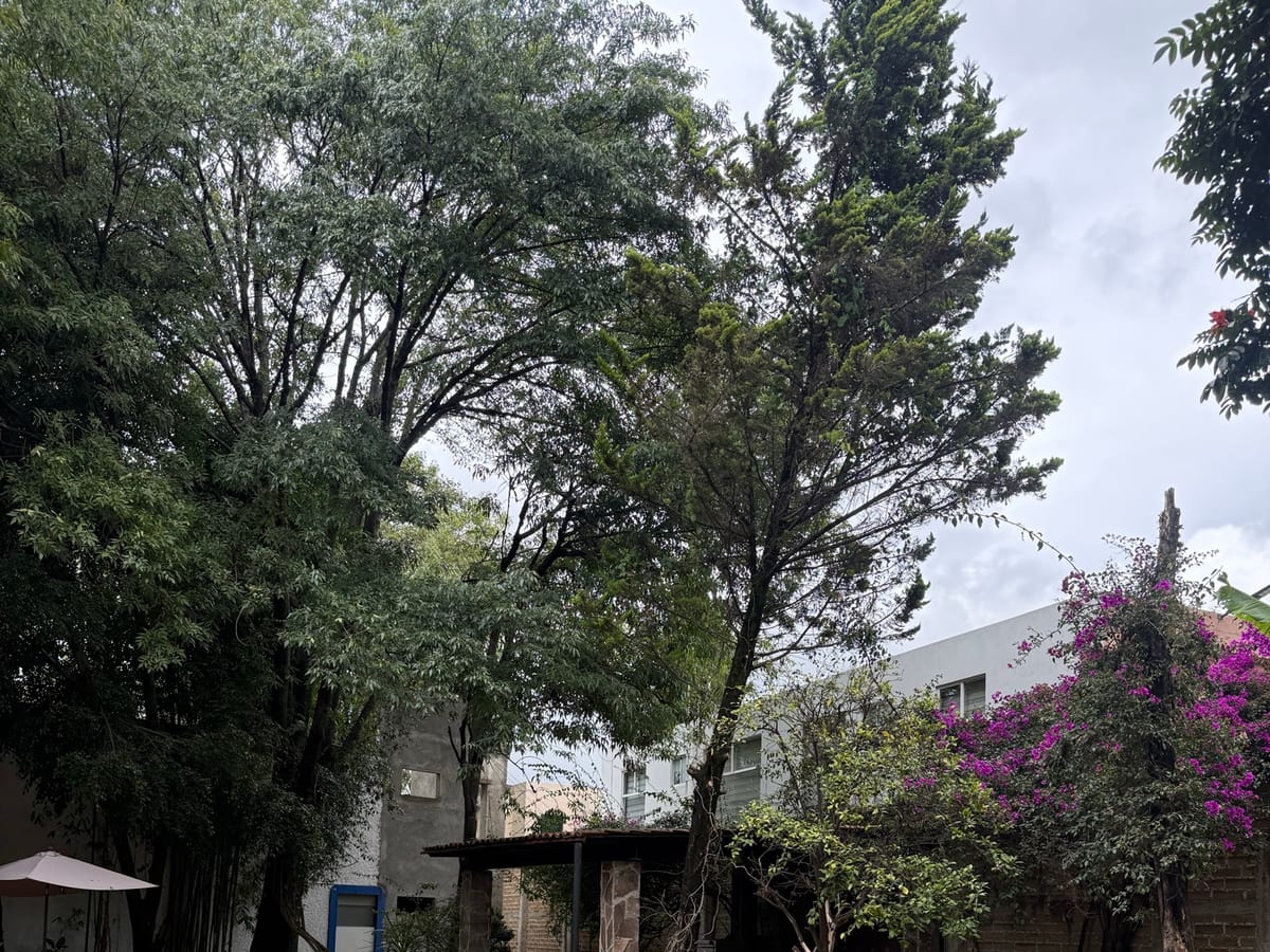 Rancho o finca en renta en Molino de Santo Domingo, Puebla, foto 9 de 20