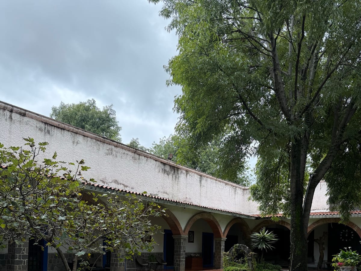 Rancho o finca en renta en Molino de Santo Domingo, Puebla, foto 4 de 20