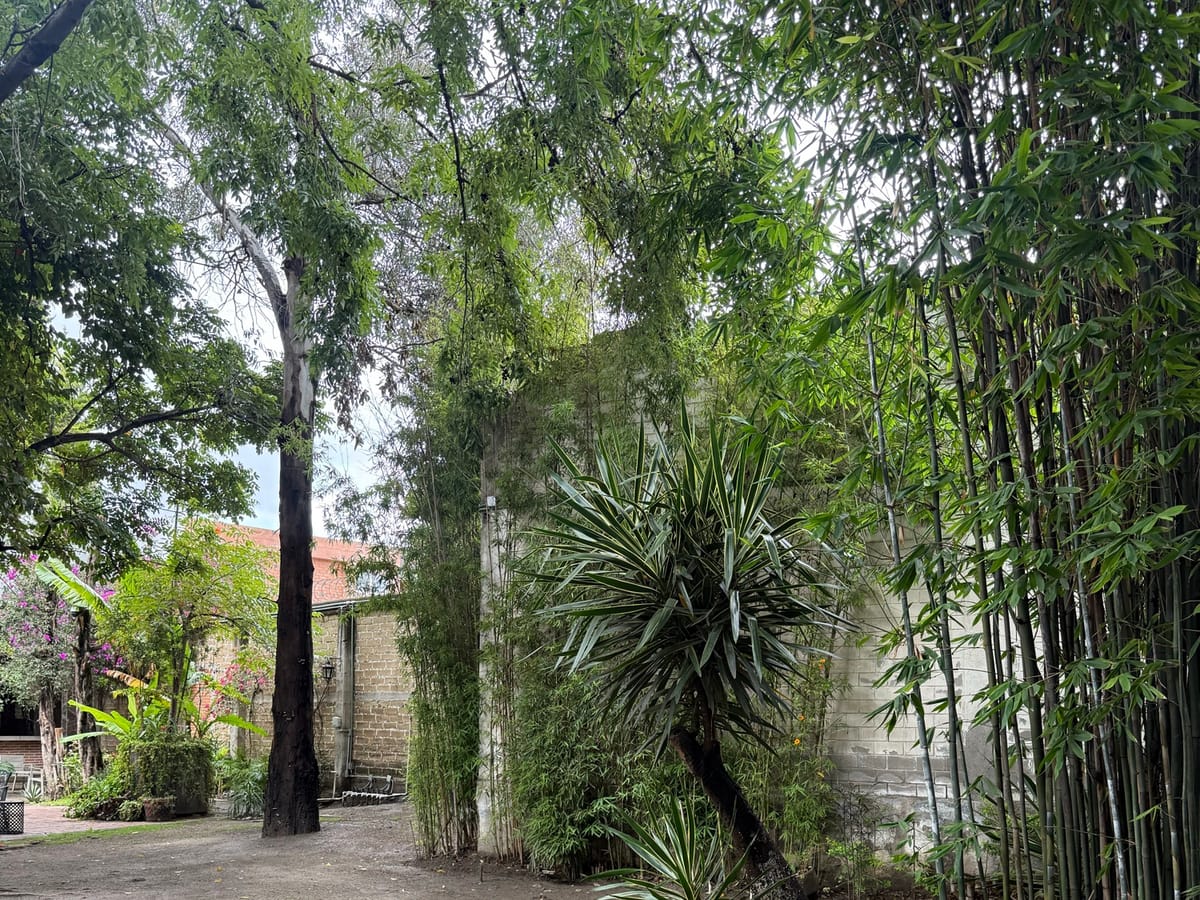 Rancho o finca en renta en Molino de Santo Domingo, Puebla, foto 7 de 20