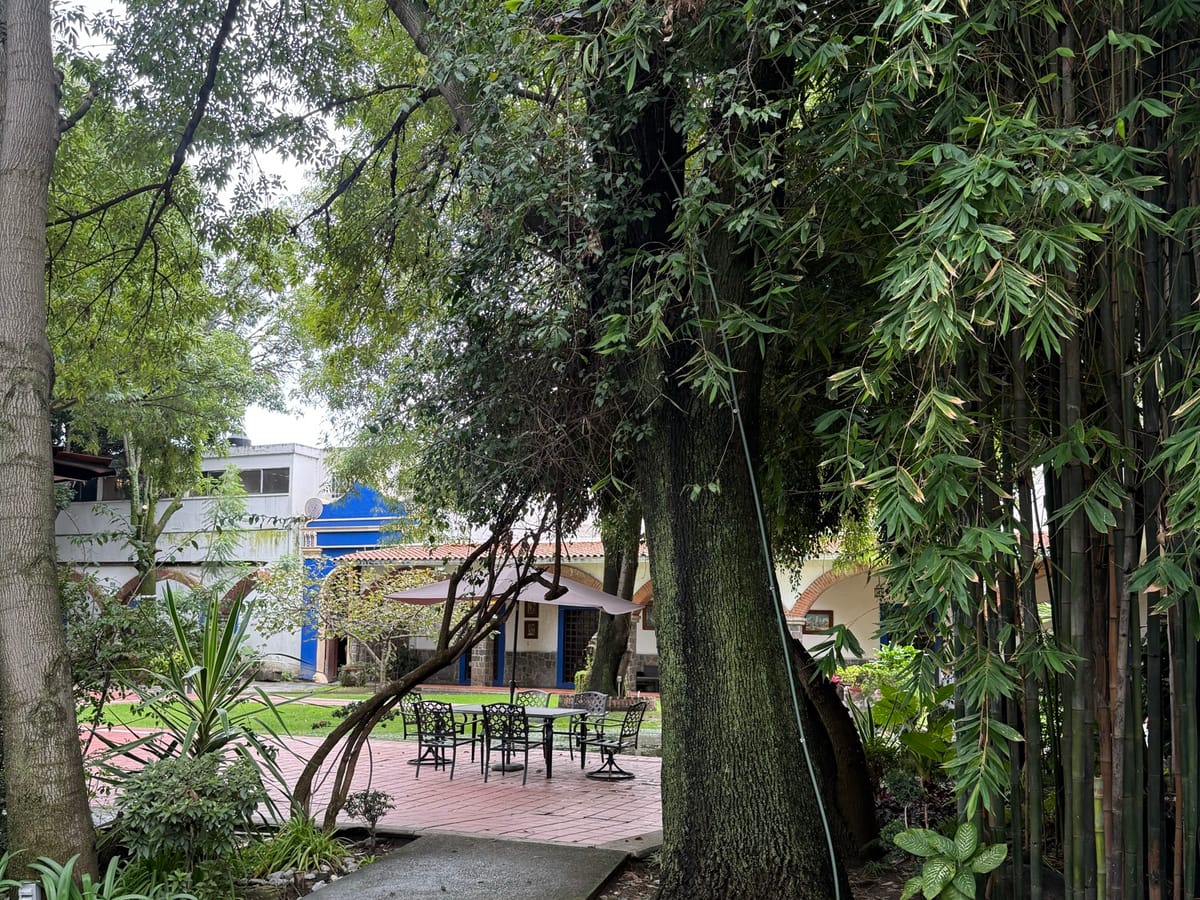 Rancho o finca en renta en Molino de Santo Domingo, Puebla, foto 12 de 20