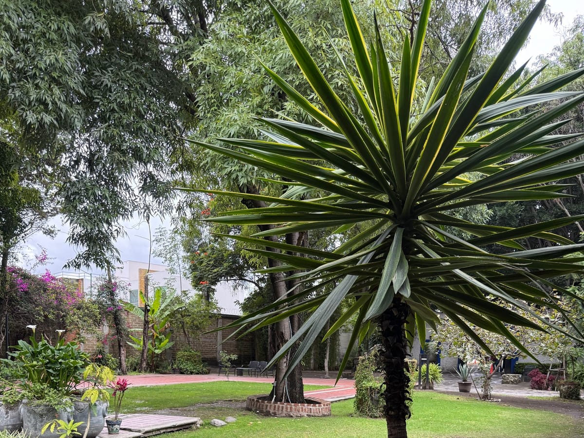Rancho o finca en renta en Molino de Santo Domingo, Puebla, foto 20 de 20