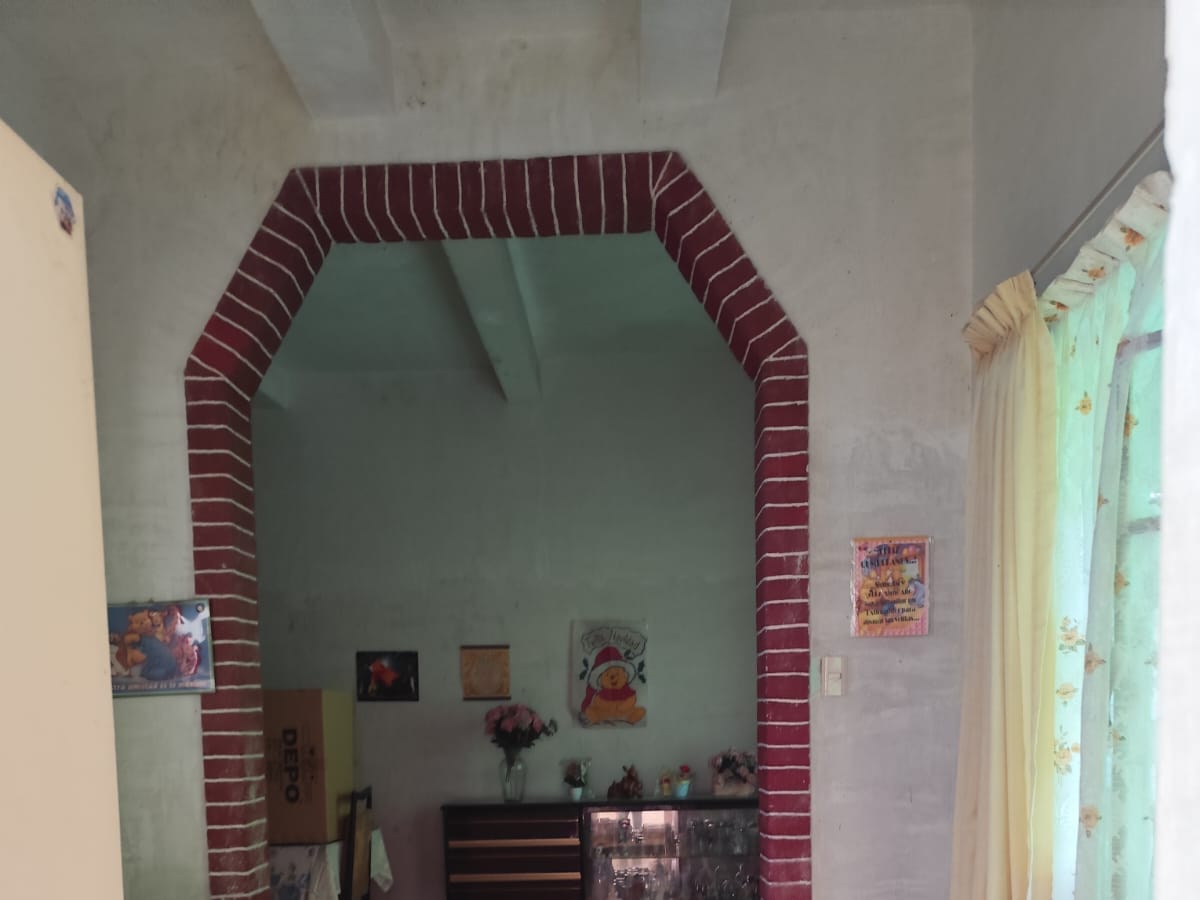 Casa en venta en Torre Blanca, Miguel Hidalgo, foto 4 de 16