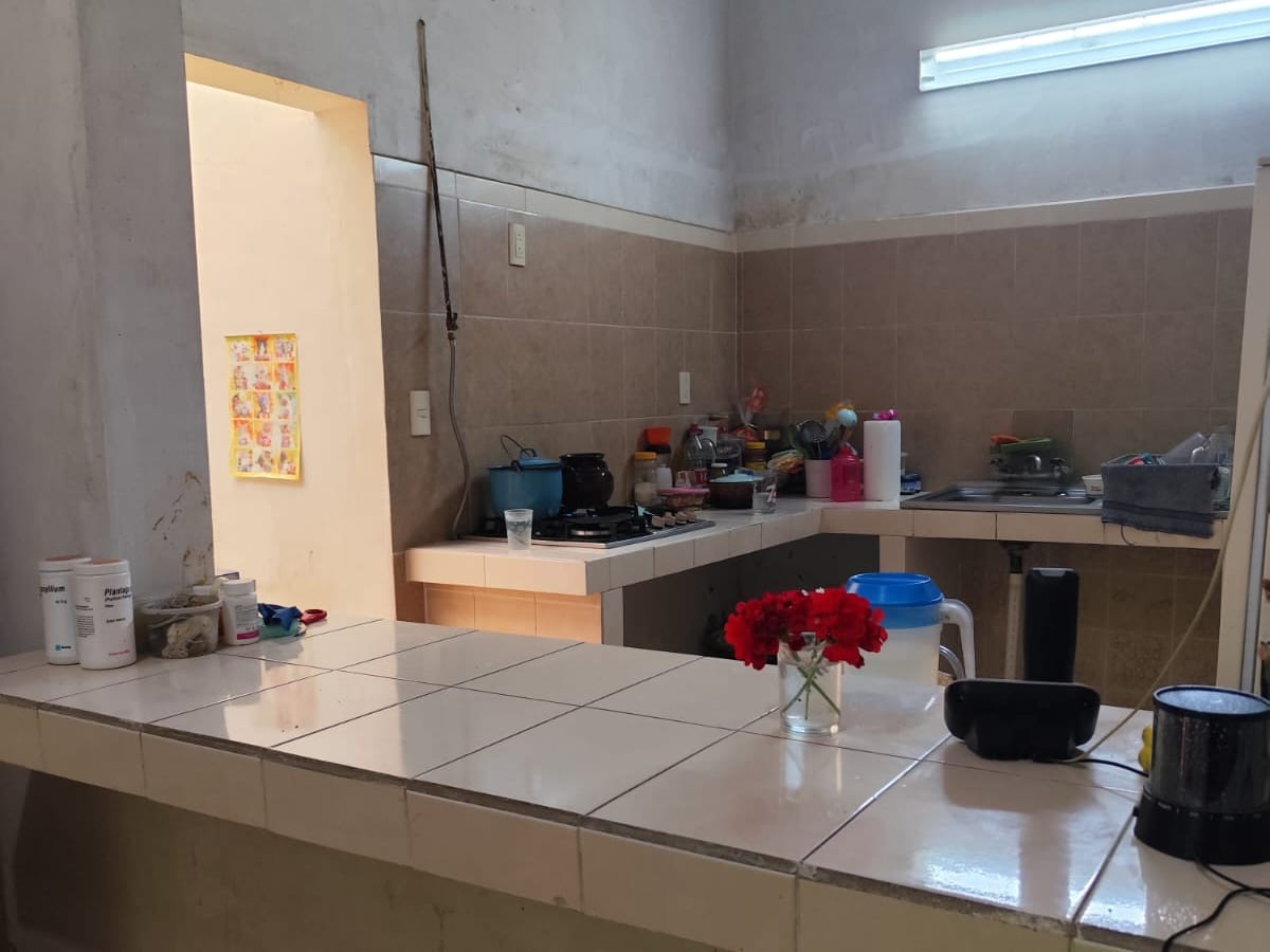 Casa en venta en Torre Blanca, Miguel Hidalgo, foto 3 de 16