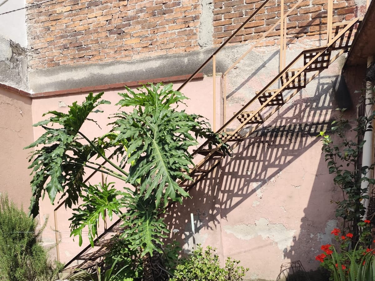 Casa en venta en Torre Blanca, Miguel Hidalgo, foto 11 de 16