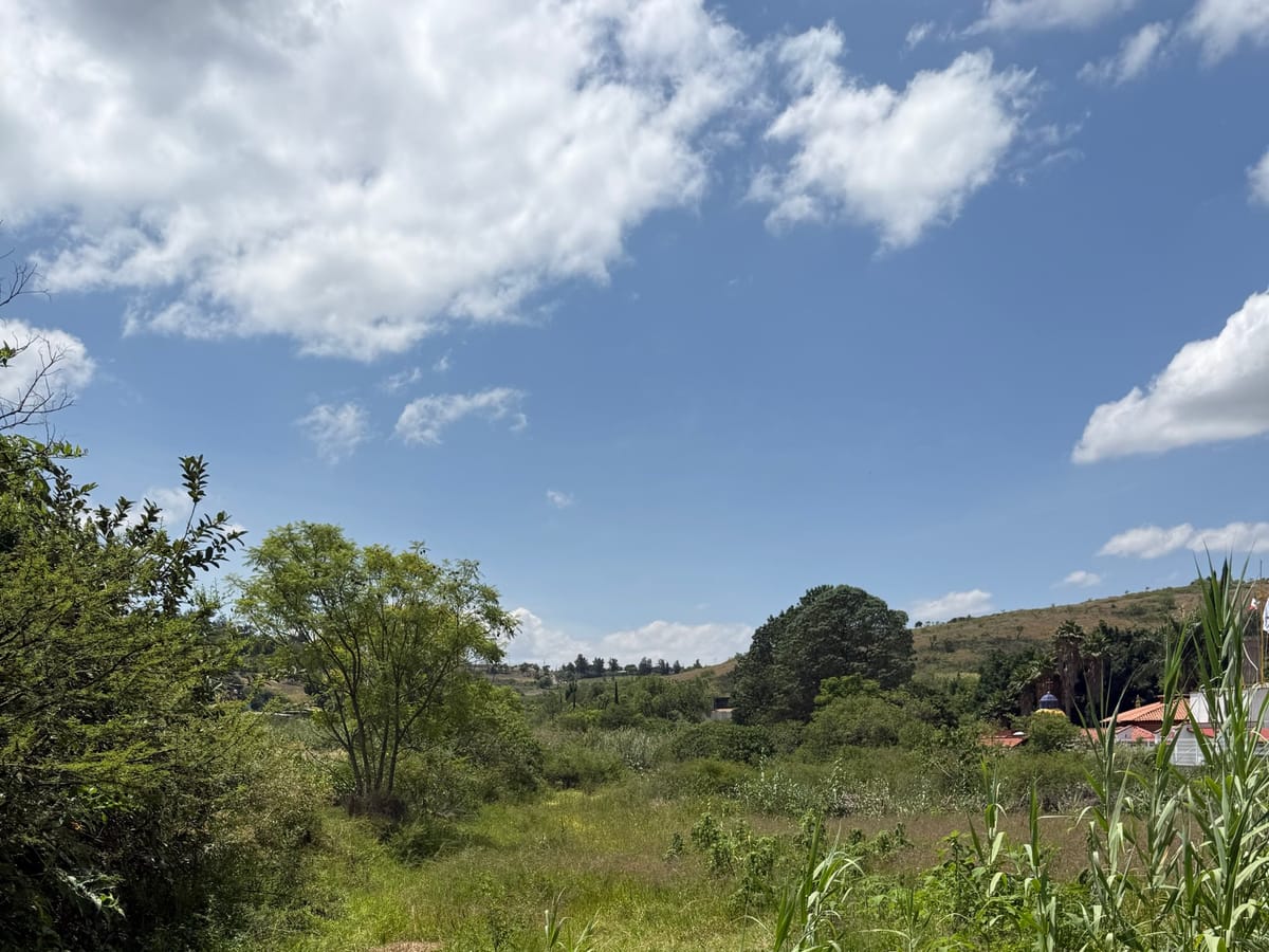 Terreno en venta en San Agustín etla, San Agustín etla Oaxaca, foto 4 de 8