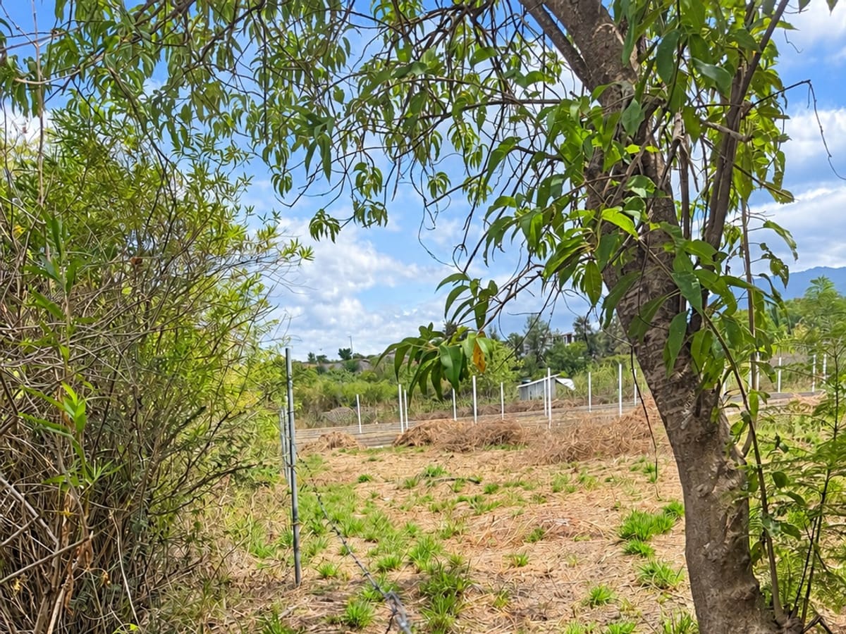 Terreno en venta en San Sebastián de las flores etla, San Pablo etla, foto 4 de 12