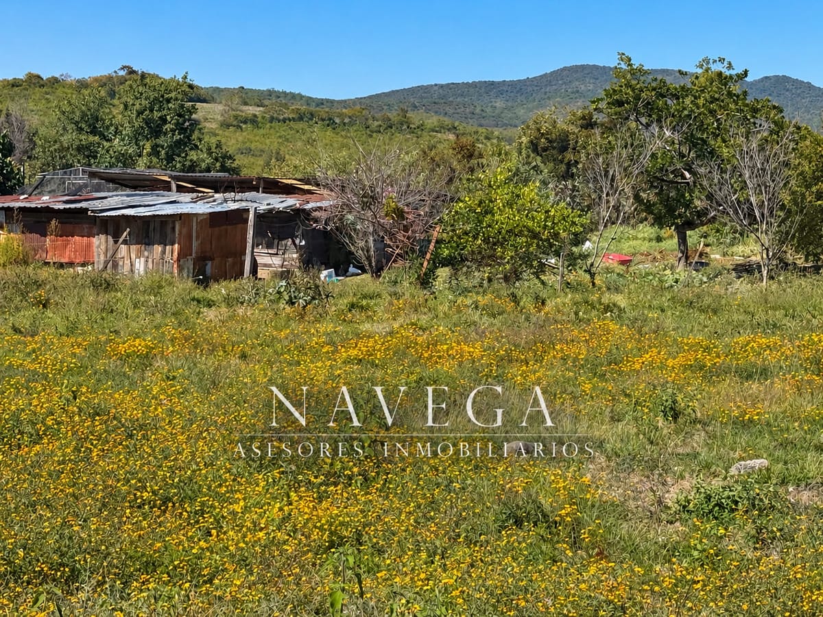Terreno en venta en San Miguel, San Juan bautista Guelache, foto 3 de 9