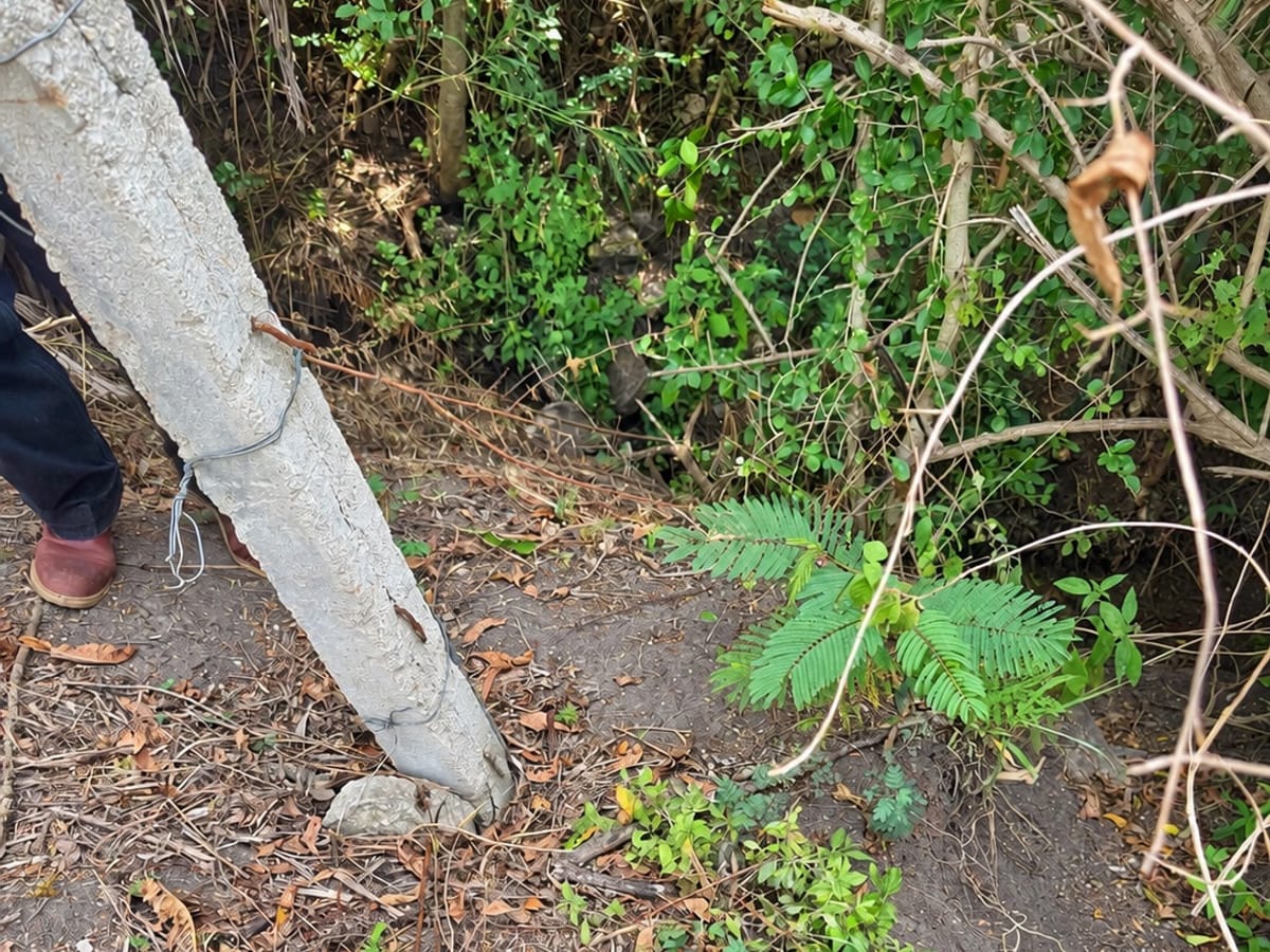 Terreno en venta en San Sebastián de las flores etla, San Pablo etla, foto 6 de 12