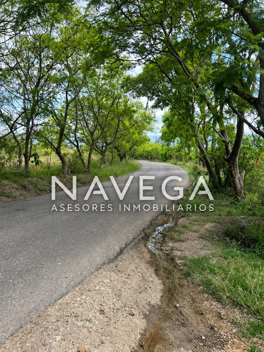 Terreno en venta en San Agustín etla, foto 1 de 8