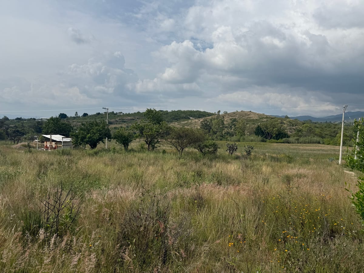 Terreno en venta en Santo Domingo Barrio Alto, Villa de Etla, foto 2 de 14