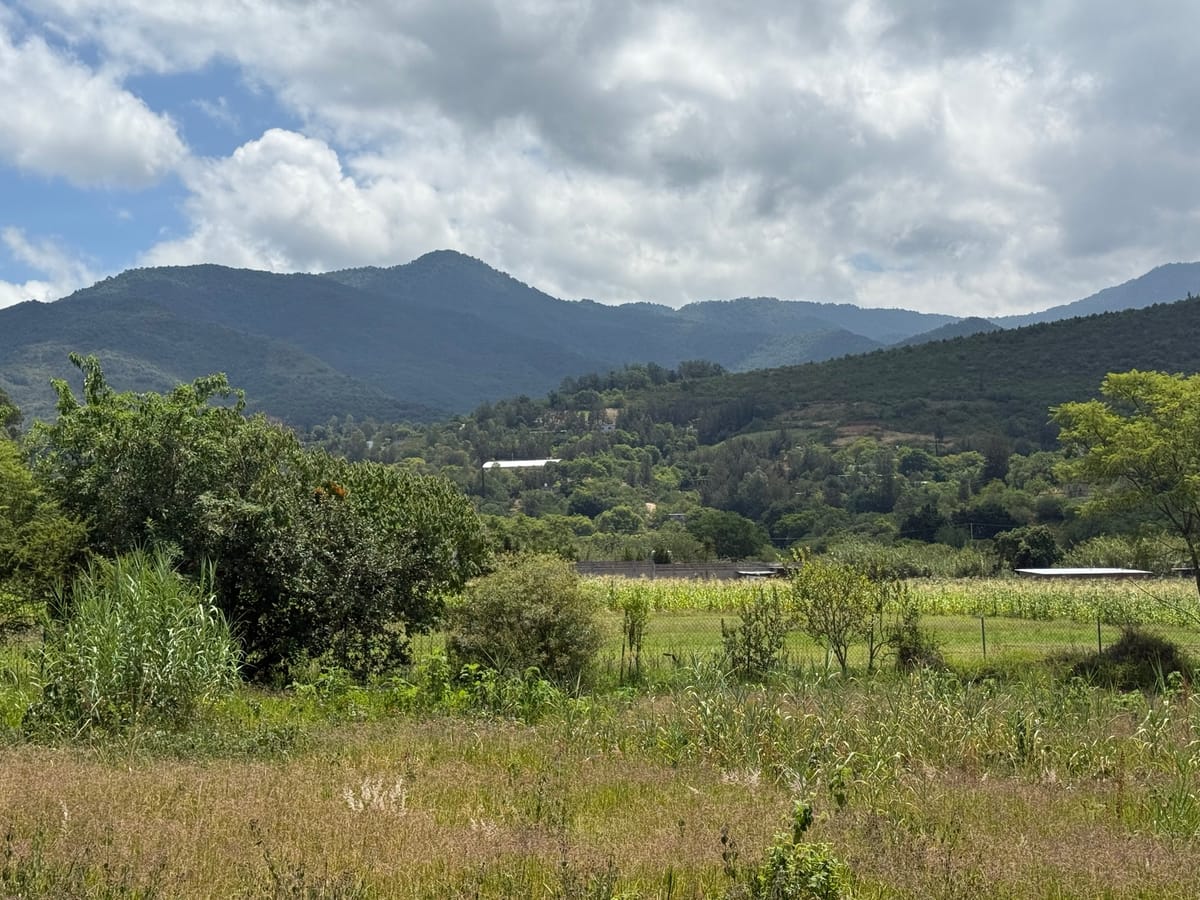 Terreno en venta en San Agustín etla, San Agustín etla Oaxaca, foto 5 de 8