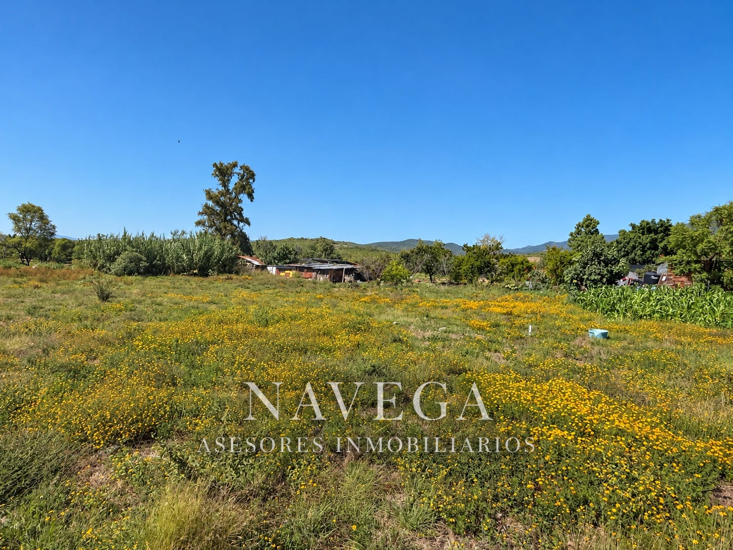 Terreno en venta en San Miguel, San Juan bautista Guelache, foto 1 de 9