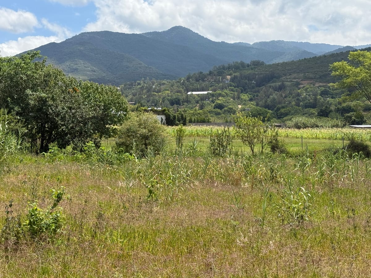 Terreno en venta en San Agustín etla, San Agustín etla Oaxaca, foto 6 de 8