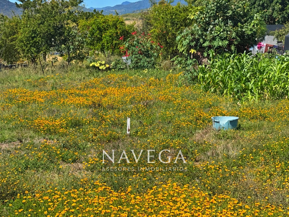 Terreno en venta en San Miguel, San Juan bautista Guelache, foto 2 de 9
