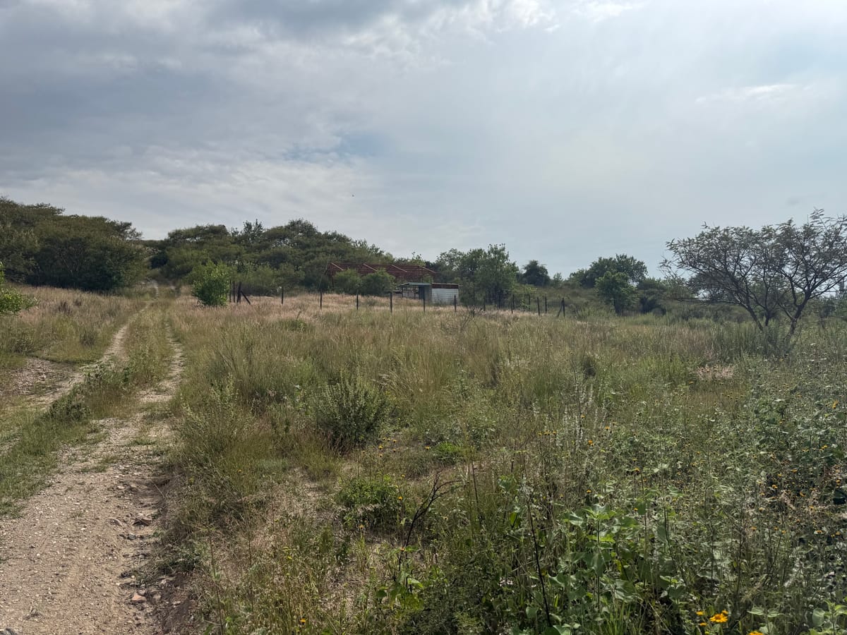 Terreno en venta en Santo Domingo Barrio Alto, Villa de Etla, foto 6 de 14