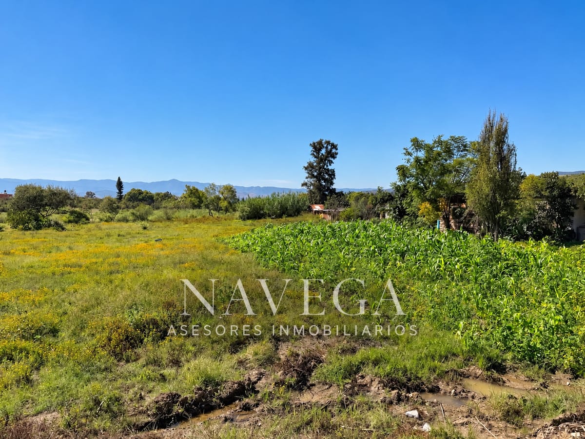 Terreno en venta en San Miguel, San Juan bautista Guelache, foto 4 de 9