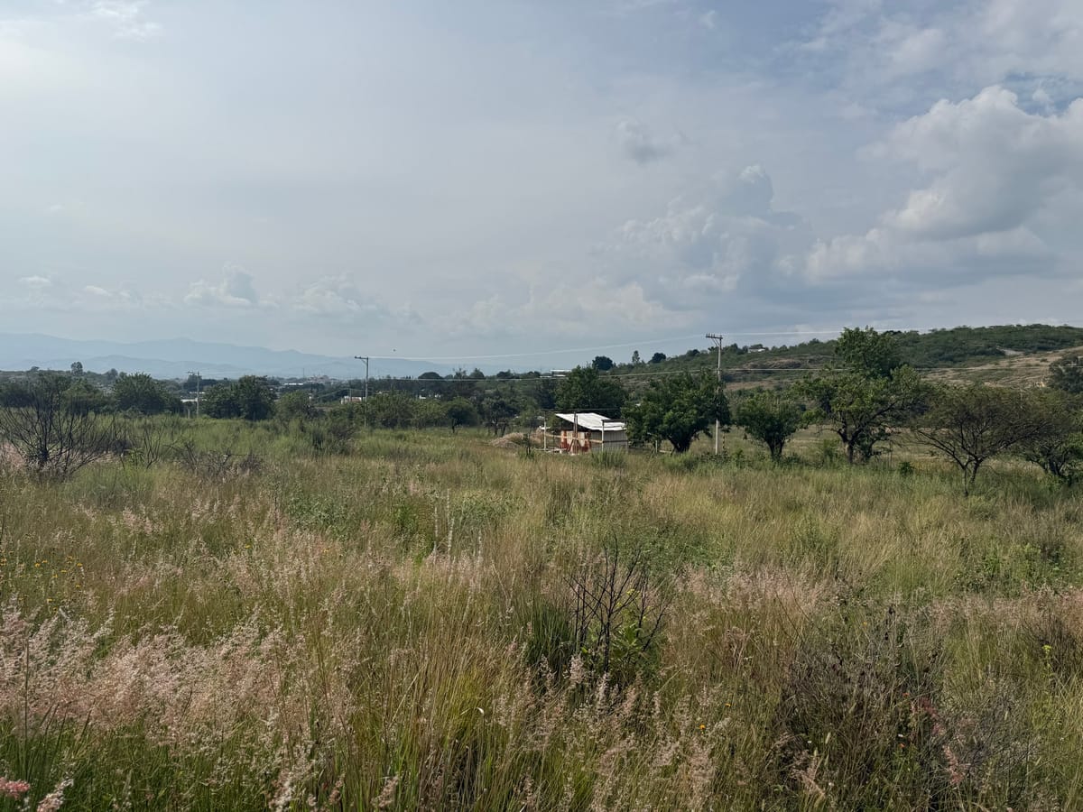 Terreno en venta en Santo Domingo Barrio Alto, Villa de Etla, foto 8 de 14