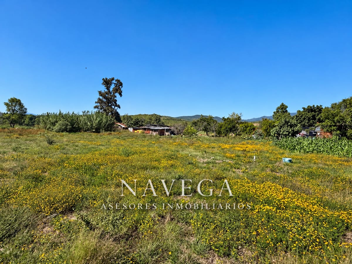 Terreno en venta en San Miguel, San Juan bautista Guelache, foto 5 de 9